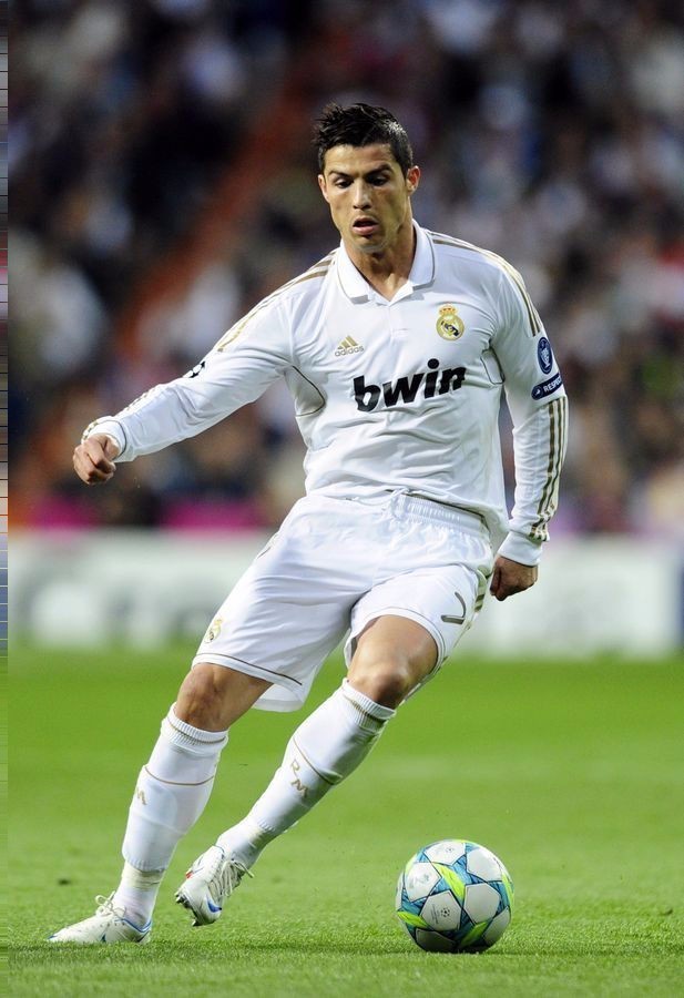 贯穿整个比 贯穿整个比