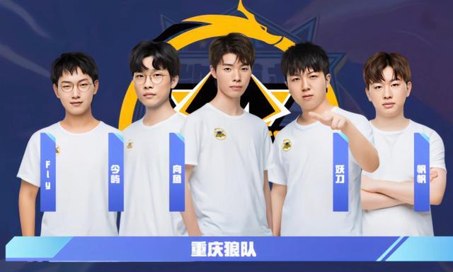 似假票情况 似假票情况